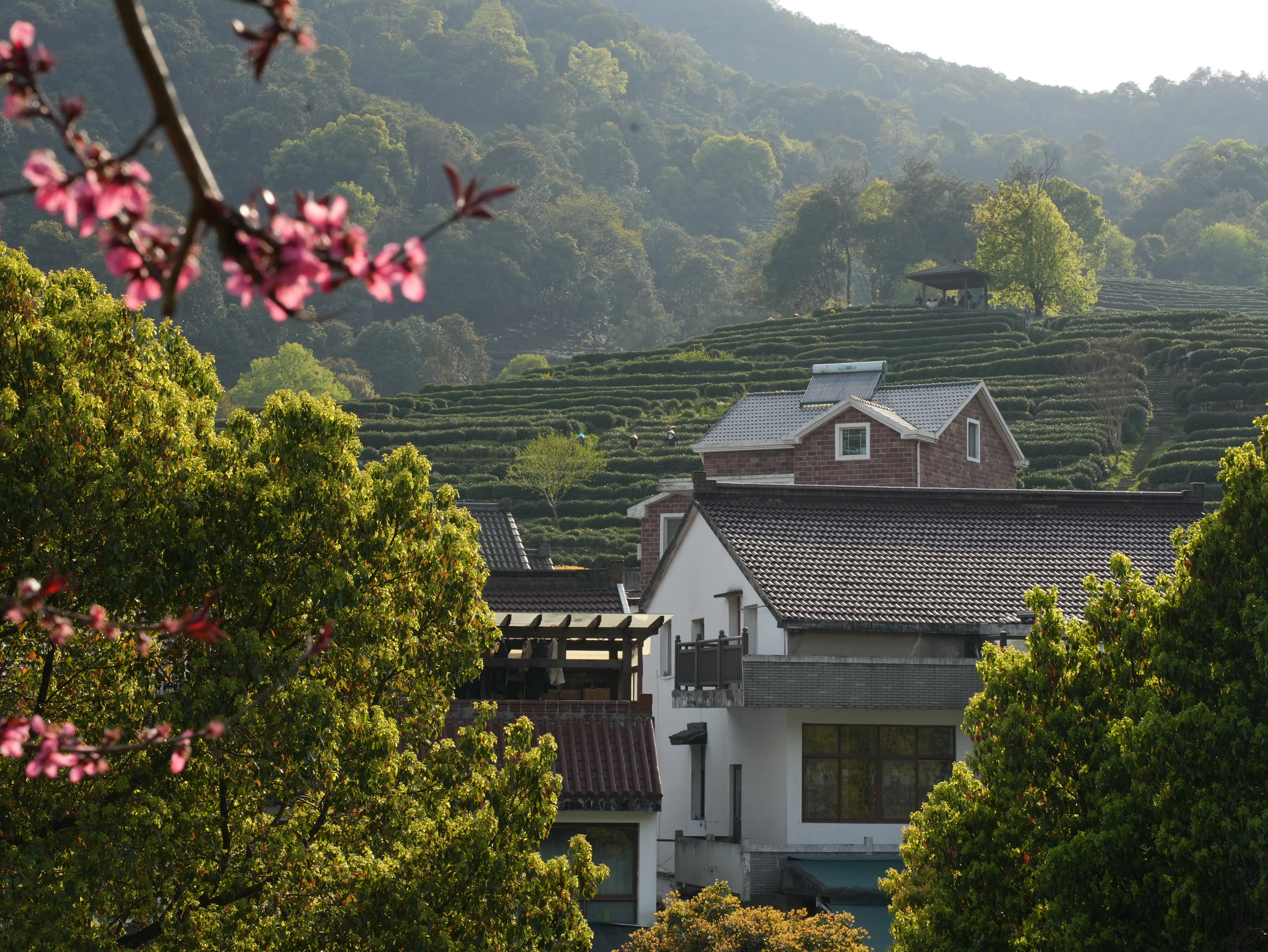 Village-style houses and mountains